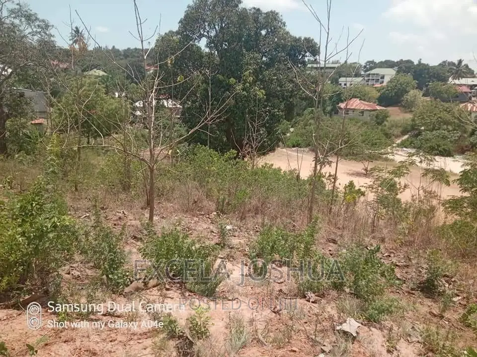Viwanja Vitatu Viko Sehemu Moja Vinauzwa Kinyerezi Mbuyuni