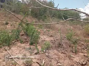 Viwanja Vitatu Viko Sehemu Moja Vinauzwa Kinyerezi Mbuyuni