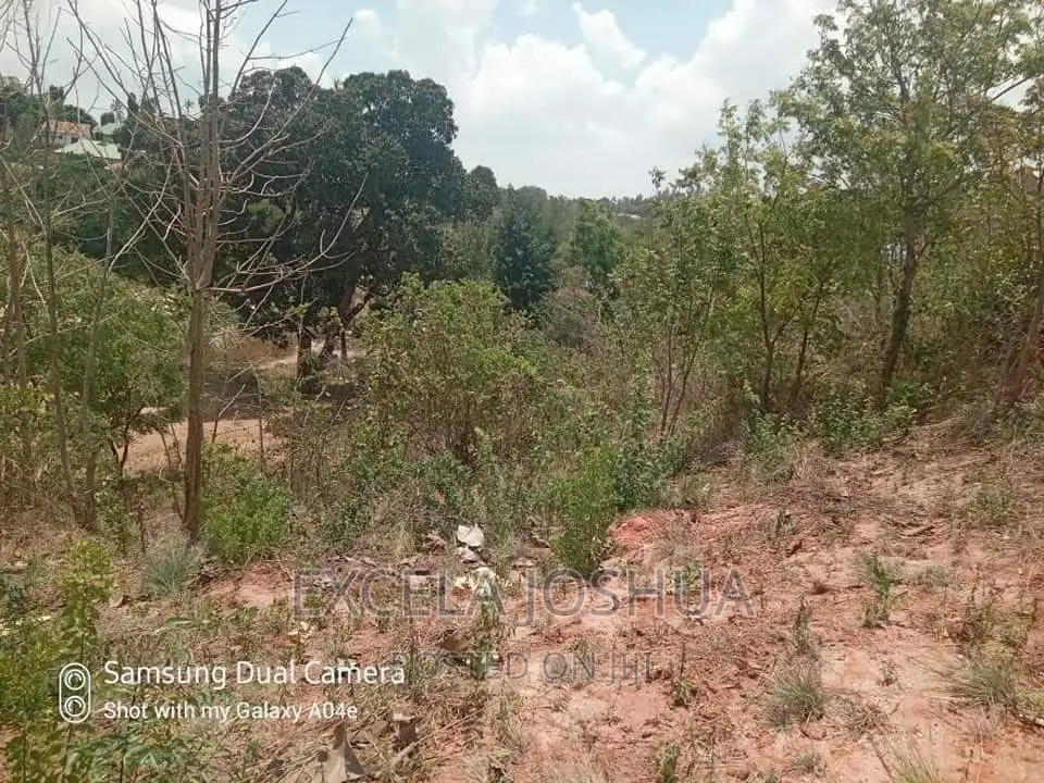 Viwanja Vitatu Viko Sehemu Moja Vinauzwa Kinyerezi Mbuyuni