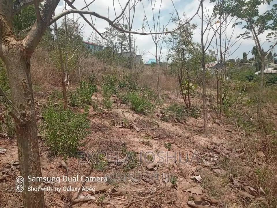 Viwanja Vitatu Viko Sehemu Moja Vinauzwa Kinyerezi Mbuyuni