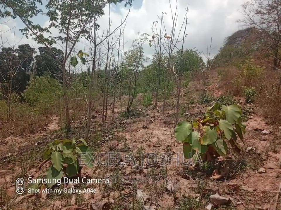 Viwanja Vitatu Viko Sehemu Moja Vinauzwa Kinyerezi Mbuyuni