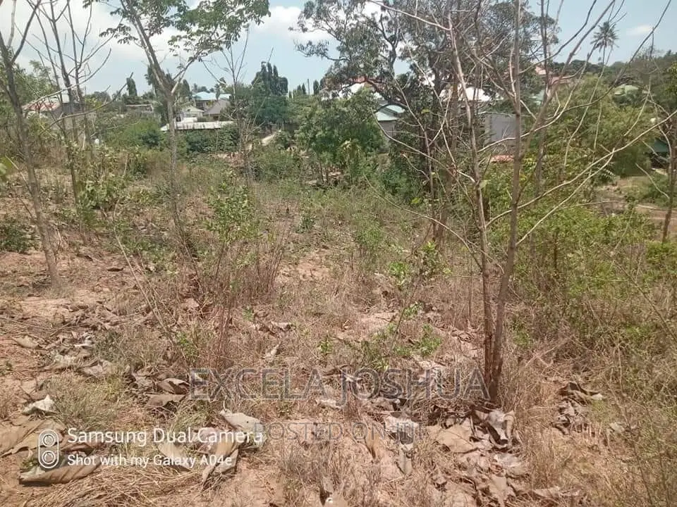 Viwanja Vitatu Viko Sehemu Moja Vinauzwa Kinyerezi Mbuyuni