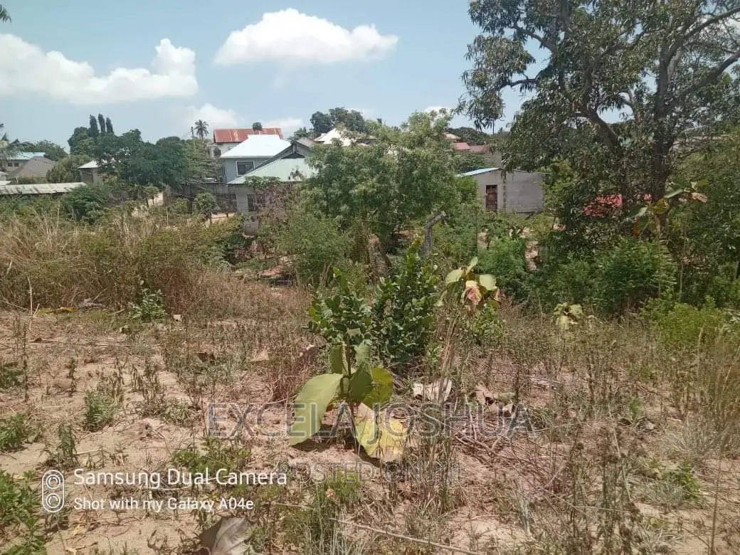 Viwanja Vitatu Viko Sehemu Moja Vinauzwa Kinyerezi Mbuyuni