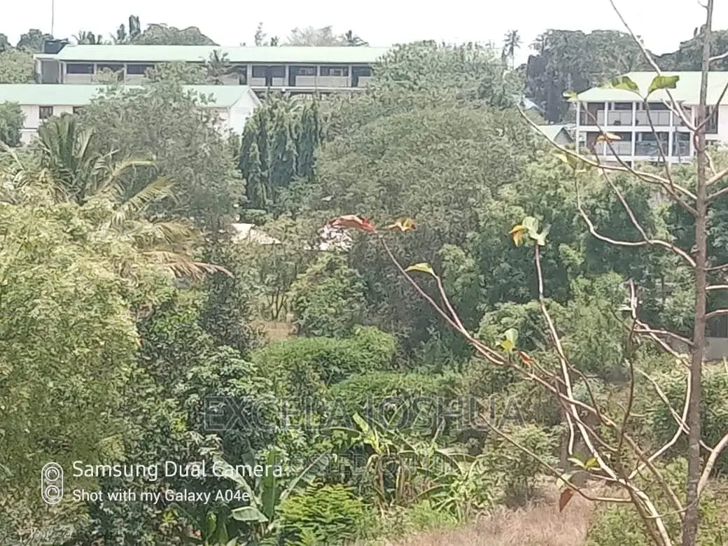 Viwanja Vitatu Viko Sehemu Moja Vinauzwa Kinyerezi Mbuyuni