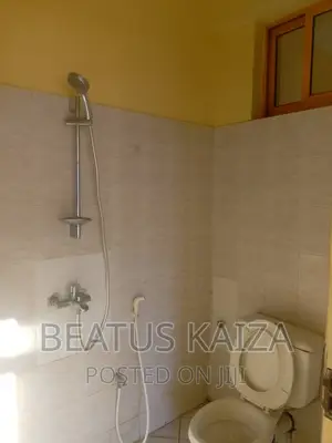 1bdrm Apartment in Kariakoo Msimbazi for rent