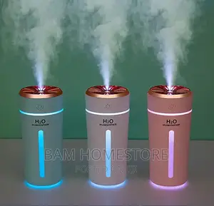 Aroma Humidifier /Diffuser