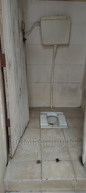 1bdrm Apartment in Tanzania Dsm Ukonga, Ilala for rent