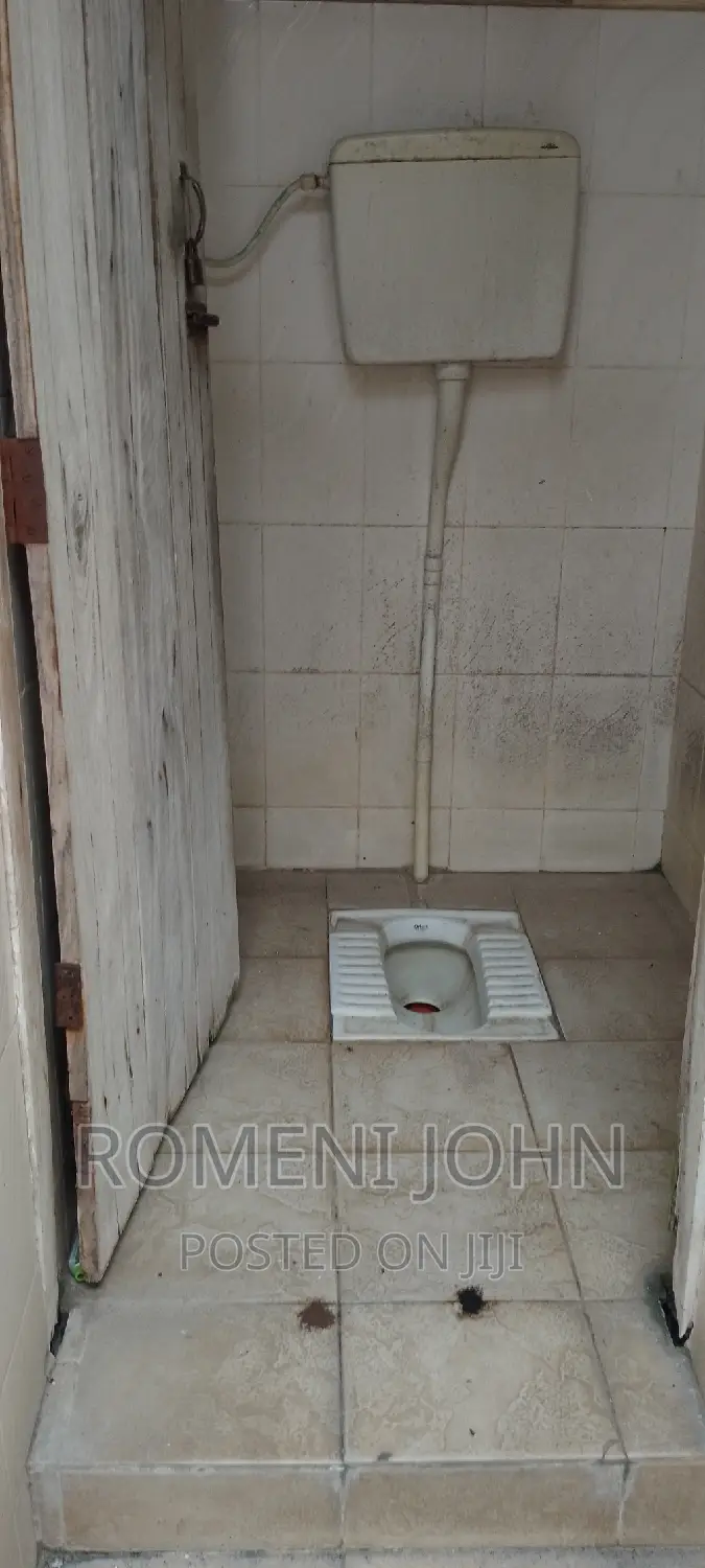 1bdrm Apartment in Tanzania Dsm Ukonga, Ilala for rent