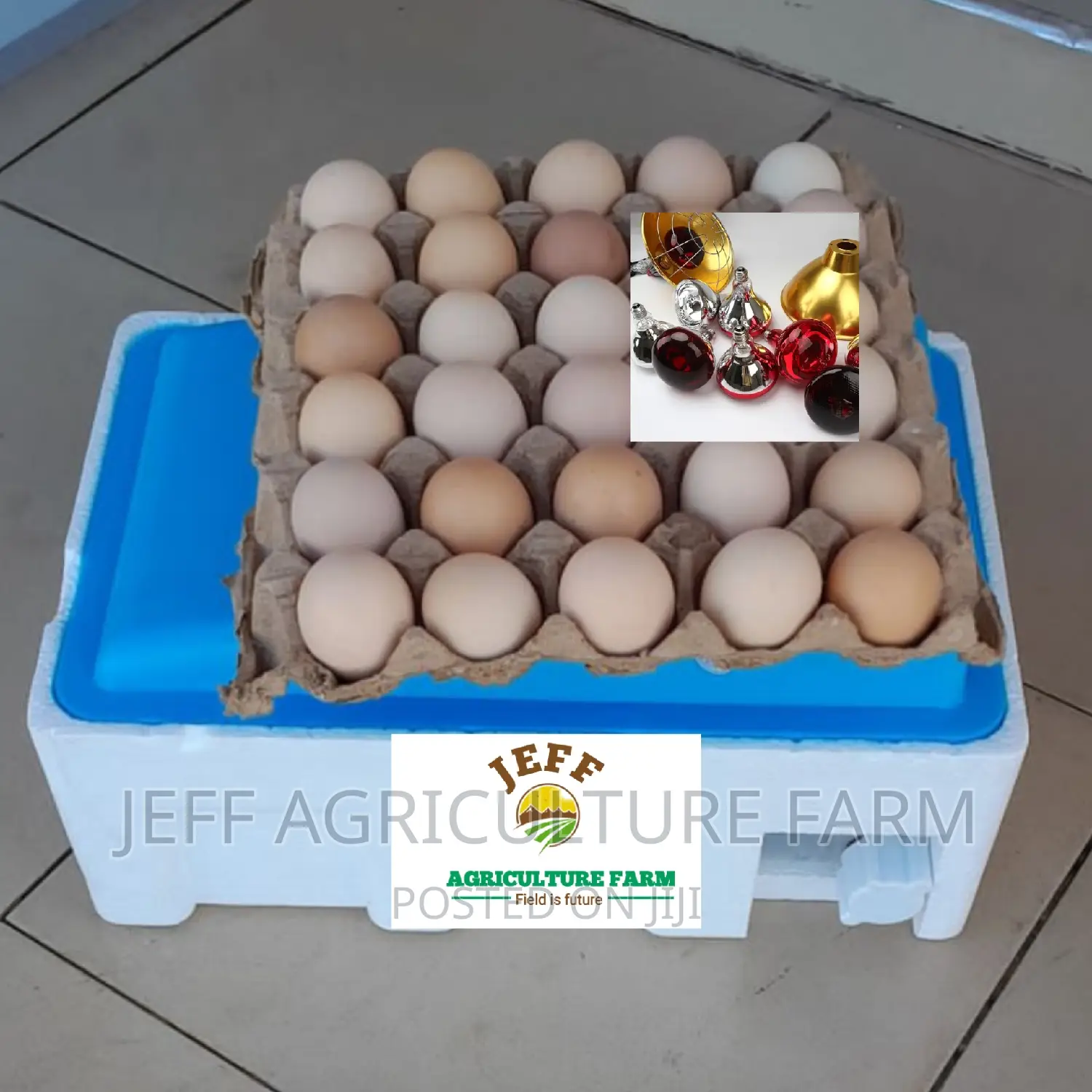 New Automatic Incubator