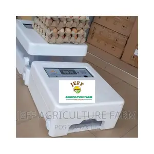New Automatic Incubator