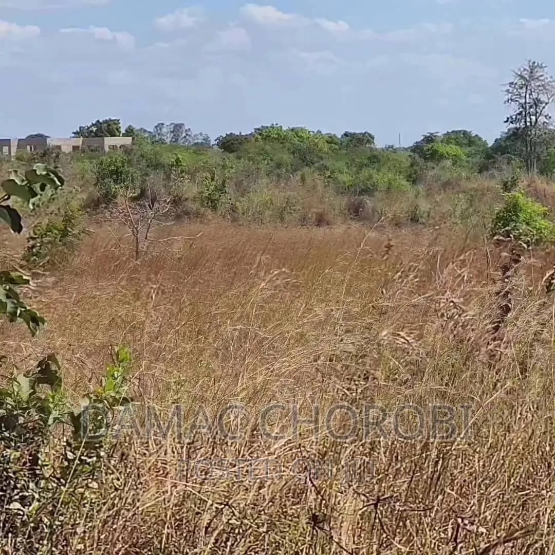 Viwanja Bora Kabisa Vigwanza Mjini