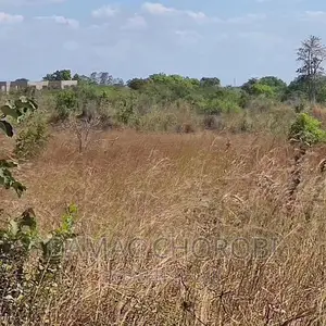 Viwanja Bora Kabisa Vigwanza Mjini