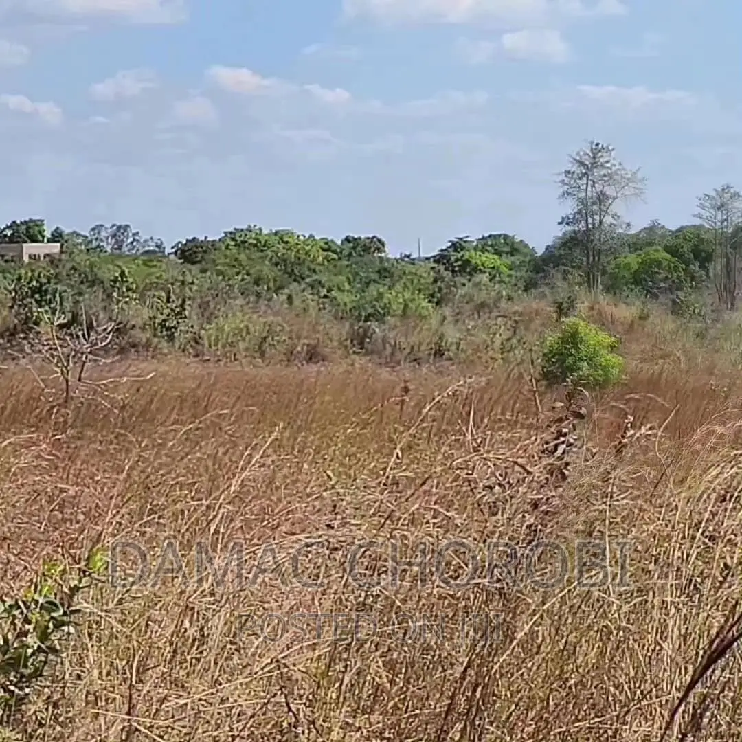 Viwanja Bora Kabisa Vigwanza Mjini
