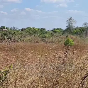 Viwanja Bora Kabisa Vigwanza Mjini