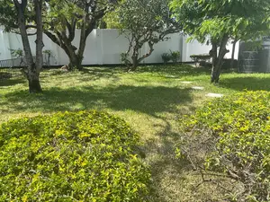 4bdrm Apartment in Masaki for rent