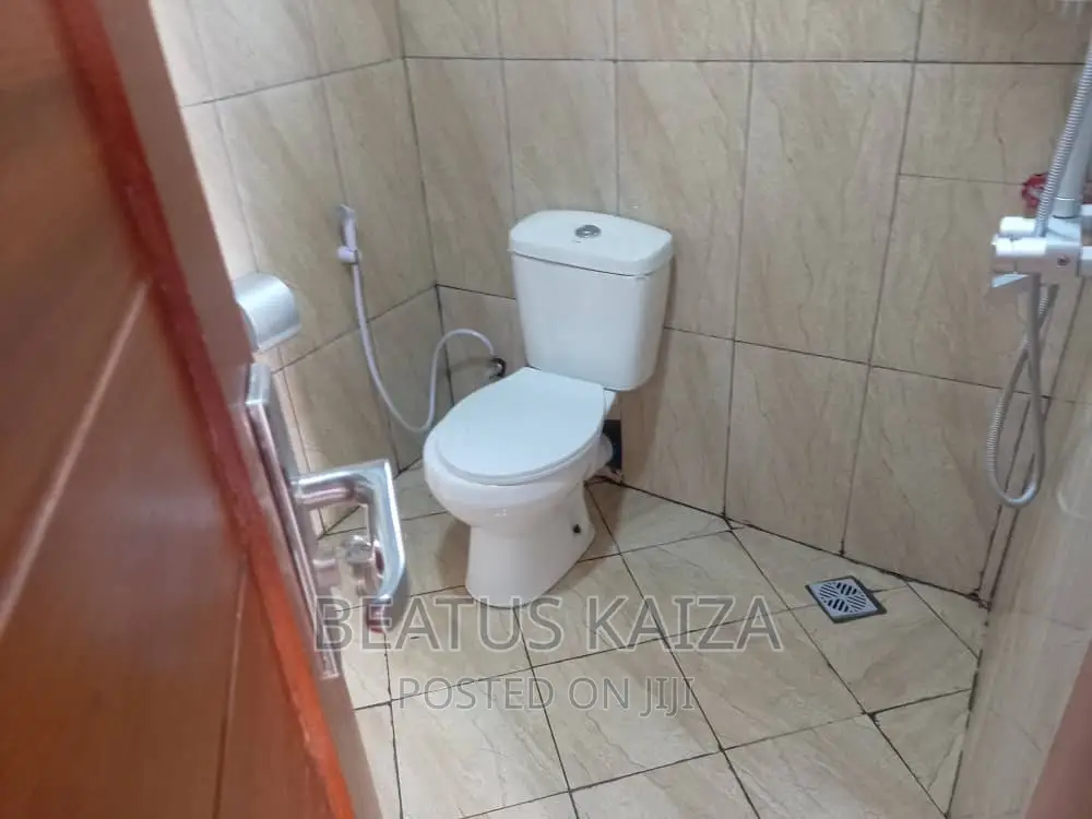 Furnished 3bdrm Apartment in Kariakoo Livingstone for rent