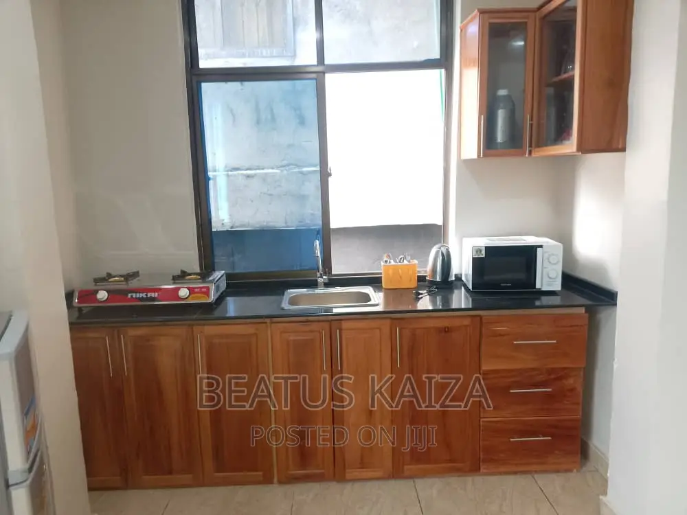 Furnished 3bdrm Apartment in Kariakoo Livingstone for rent