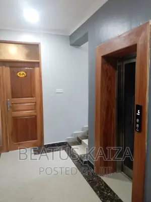 Furnished 3bdrm Apartment in Kariakoo Livingstone for rent