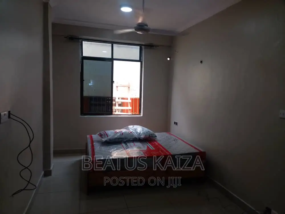 Furnished 3bdrm Apartment in Kariakoo Livingstone for rent