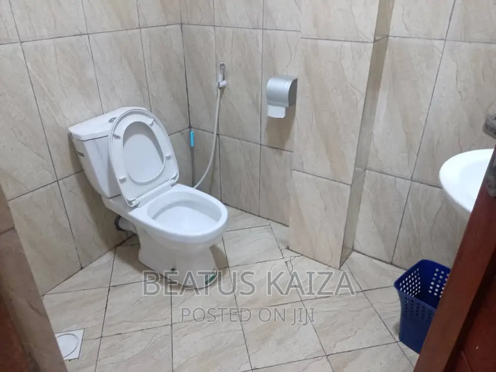 Furnished 3bdrm Apartment in Kariakoo Livingstone for rent