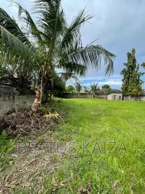 Plot for Sale at Mbezi Beach Ya Chini SQM 1000 Title Deed