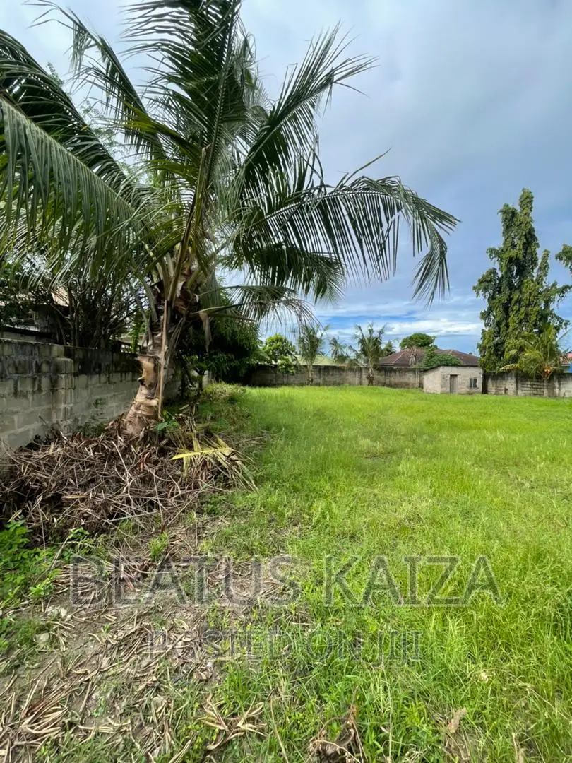 Plot for Sale at Mbezi Beach Ya Chini SQM 1000 Title Deed