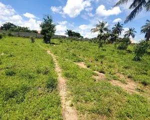 Kiwanja Kinauzwa Bei Ya Kutupa Kipo Goba
