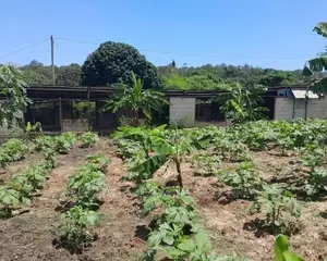 Eneo Linauzwa Bagamoyo Road Mapinga
