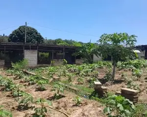 Eneo Linauzwa Bagamoyo Road Mapinga
