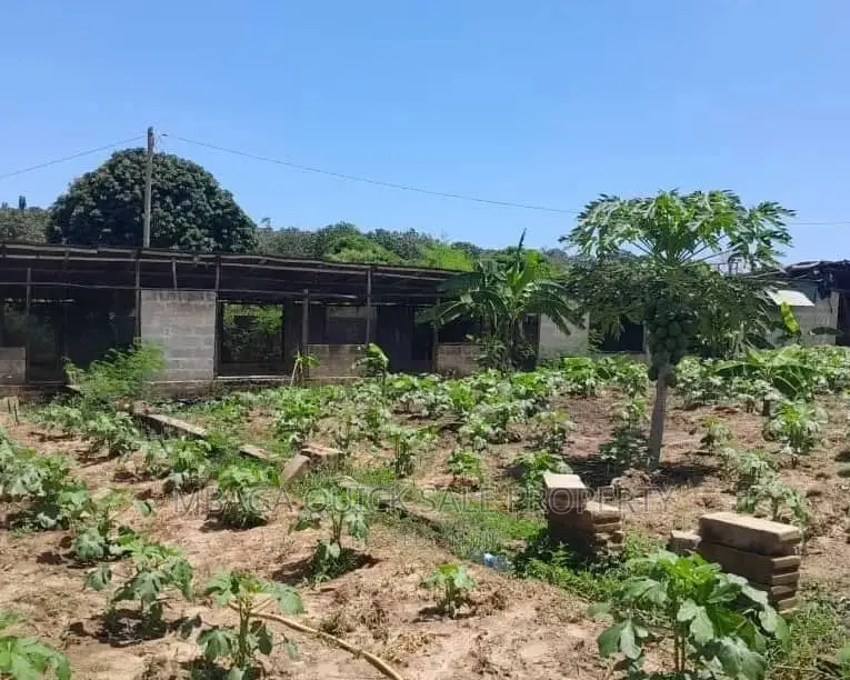 Eneo Linauzwa Bagamoyo Road Mapinga
