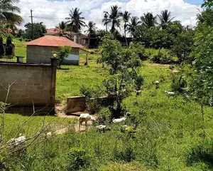 Plot for Sale at Goba Kulangwa