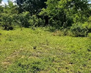 Plot for Sale at Goba Kulangwa