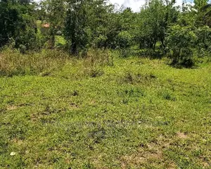 Plot for Sale at Goba Kulangwa