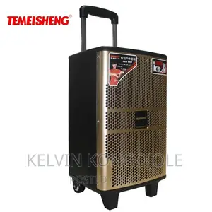 Temeisheng 12 Inch Wooden High Power Loudspeaker.