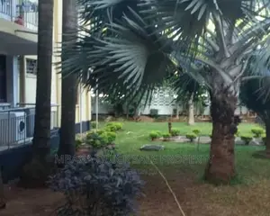 Furnished 3bdrm Apartment in Masaki for rent