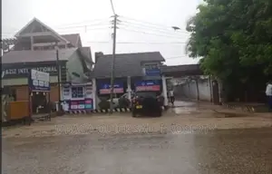 4bdrm House in Mikocheni  Rose for rent