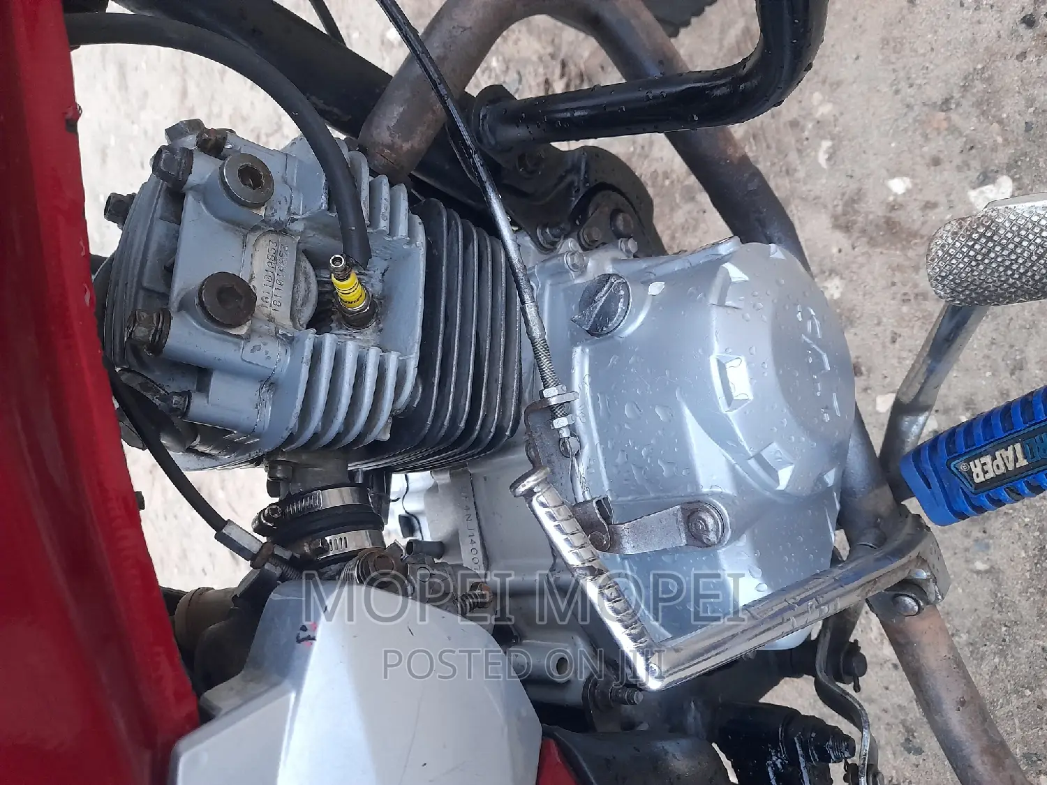 TVS 2021 Red