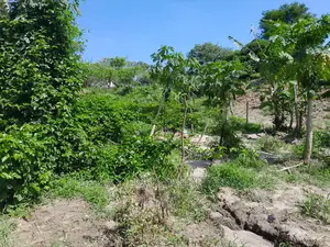 Farm for Sale at Kibamba Kibwerege