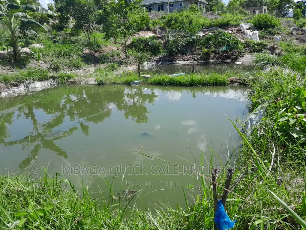 Farm for Sale at Kibamba Kibwerege