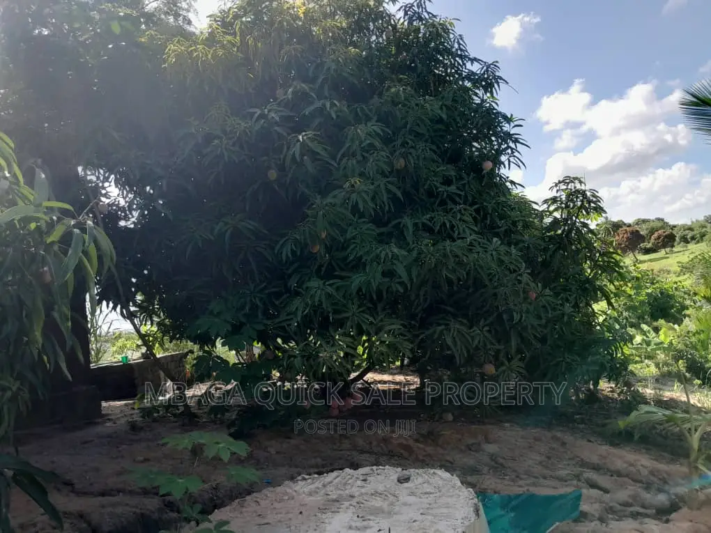 Farm for Sale at Kibamba Kibwerege