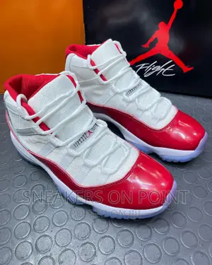 Air Jordan 11