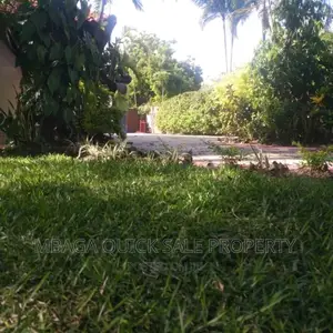 7bdrm House in Masaki for rent