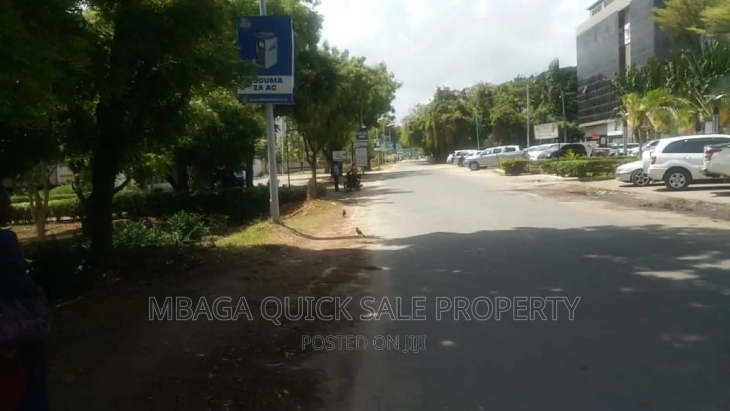Office Space for Rent at Masaki 130 SQM