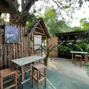 Bar and Restaurants for Rent Near Coco Beach Oyster Bay