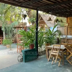 Bar and Restaurants for Rent Near Coco Beach Oyster Bay