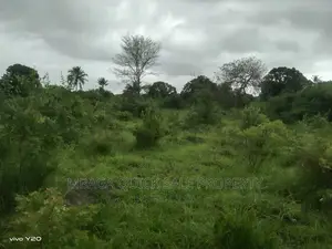 Plot Inauzwa Ipo Kilomo Bagamoyo Rd