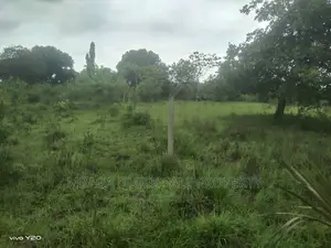 Plot Inauzwa Ipo Kilomo Bagamoyo Rd