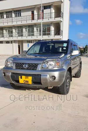 Nissan X-Trail 2003 Gray