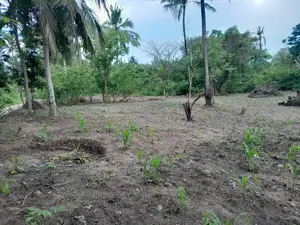 Farm for Sale at Visiga Madafu