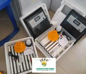 New Automatic Incubator Machine Available  
